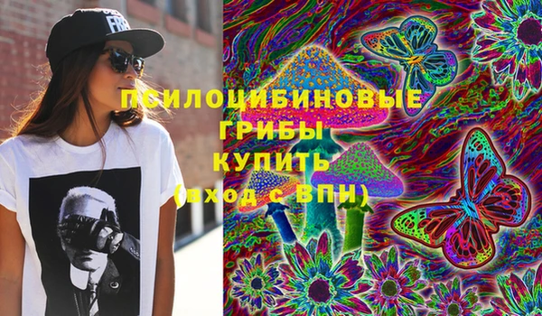 каннабис Аркадак